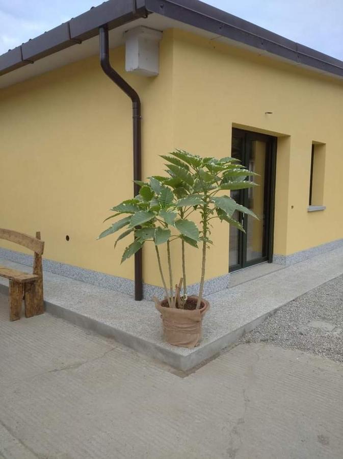 Azienda Agrituristica Scotti Somma Lombardo Luaran gambar